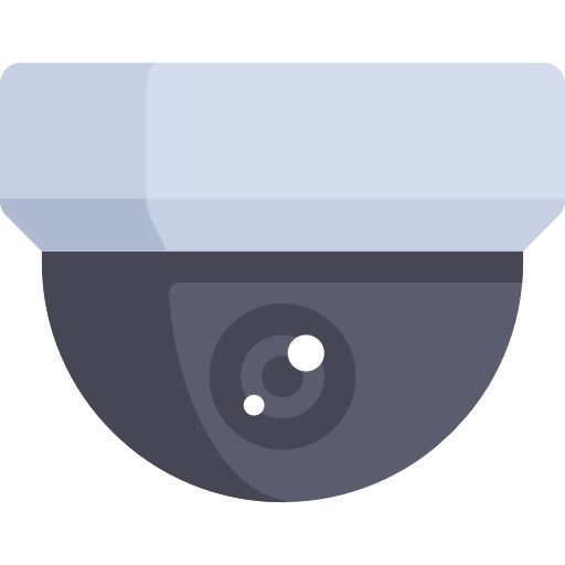 Camera and safety